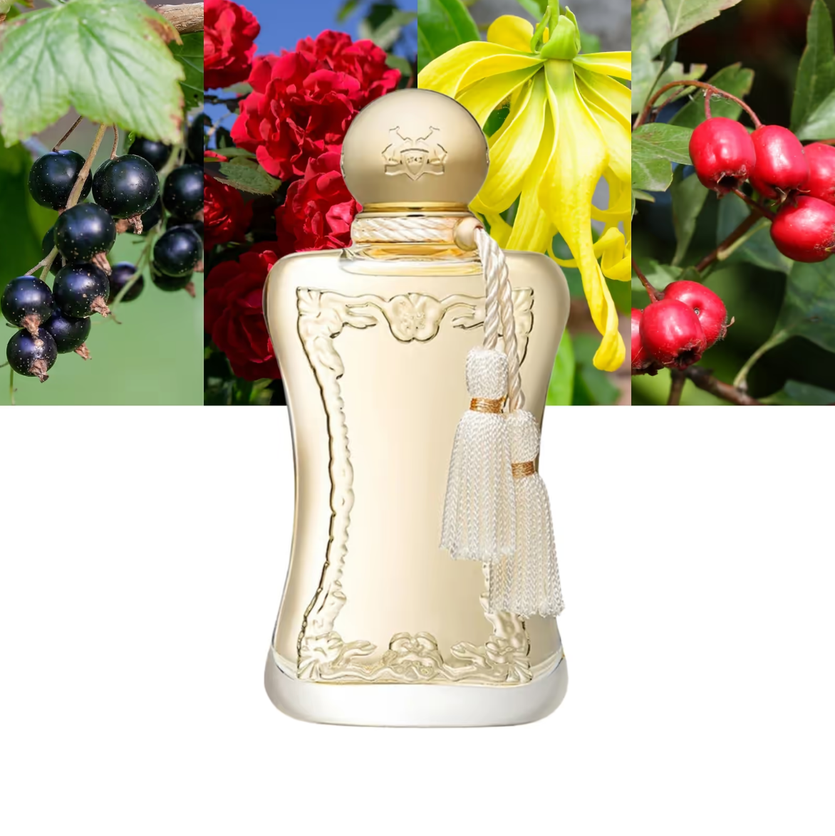 PARFUMS DE MARLY Meliora EDP