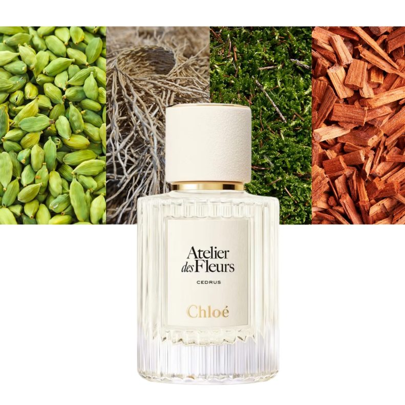 CHLOE Magnolia Alba EDP