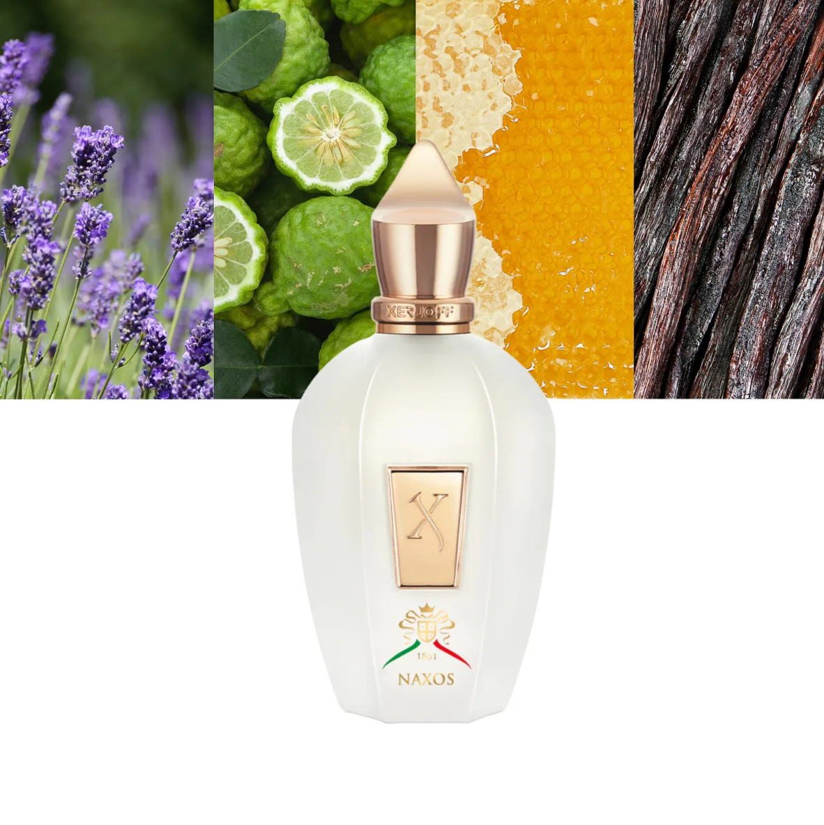 XERJOFF Naxos EDP
