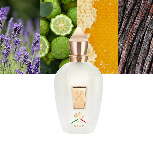 XERJOFF Naxos EDP