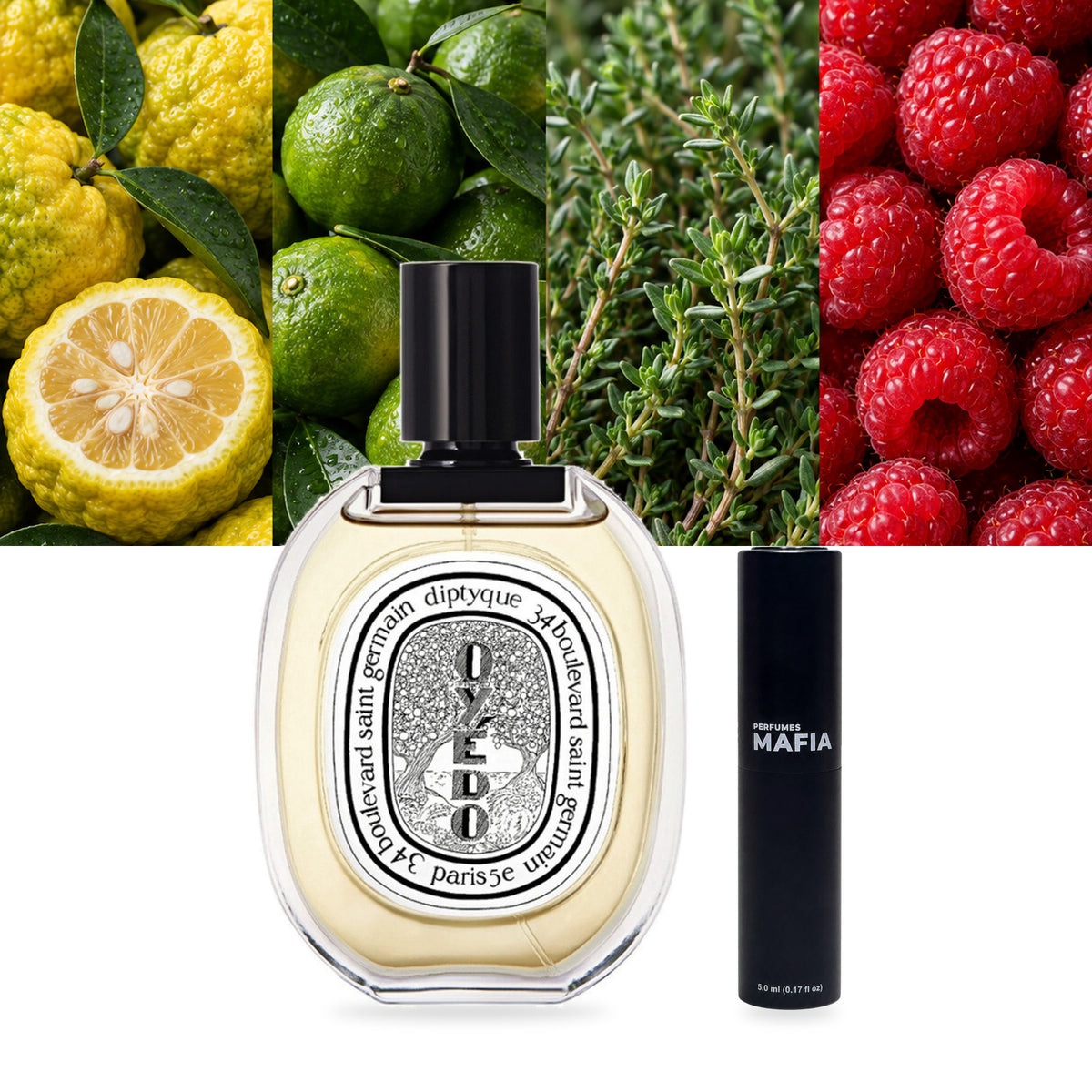 Diptyque Oyedo EDT