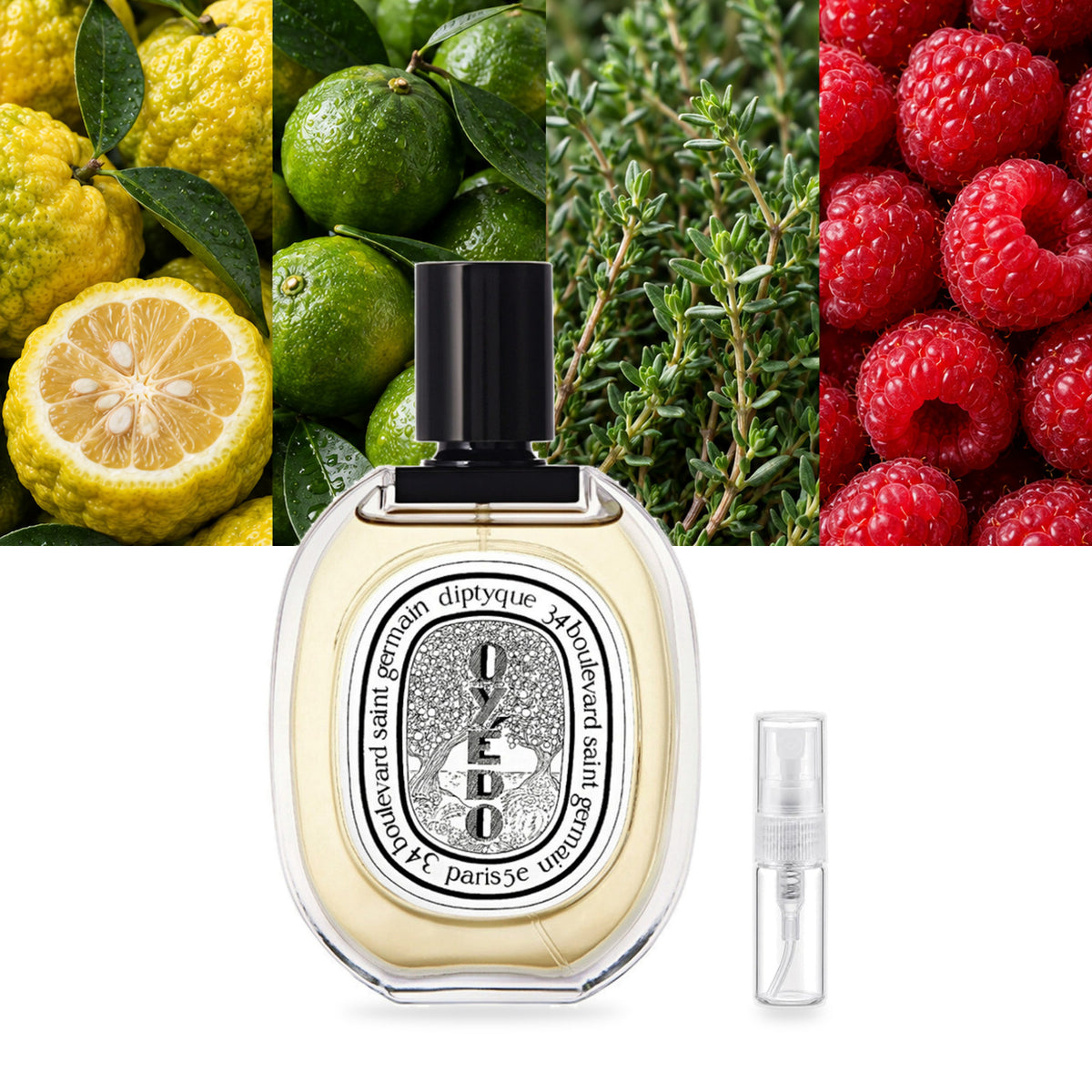 Diptyque Oyedo EDT