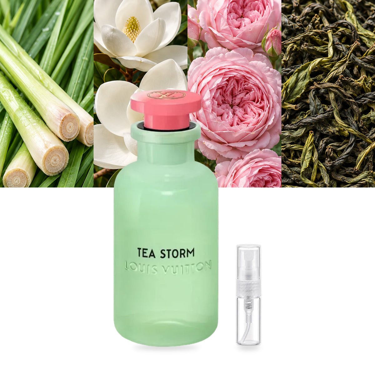 Louis Vuitton Tea Storm